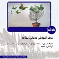 راهنمای سلامت روان سفر اربعین با تاکید بر آرامش و تعهد